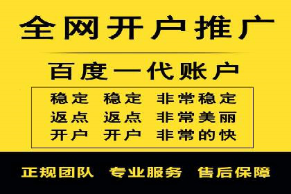 百度竞价公司案例分析：优化策略全解析